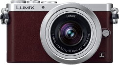 パナソニック(Panasonic) LUMIX DMC-GM1SK ブラウン