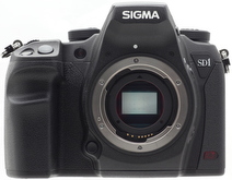 SIGMA SD1 Merrill